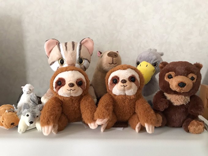 サンレモンさん がハッシュタグ ぬいぐるみ をつけたツイート一覧 4 Whotwi グラフィカルtwitter分析 サンレモンさん がハッシュタグ ぬいぐるみ をつけたツイート一覧 4 Whotwi グラフィカルtwitter分析
