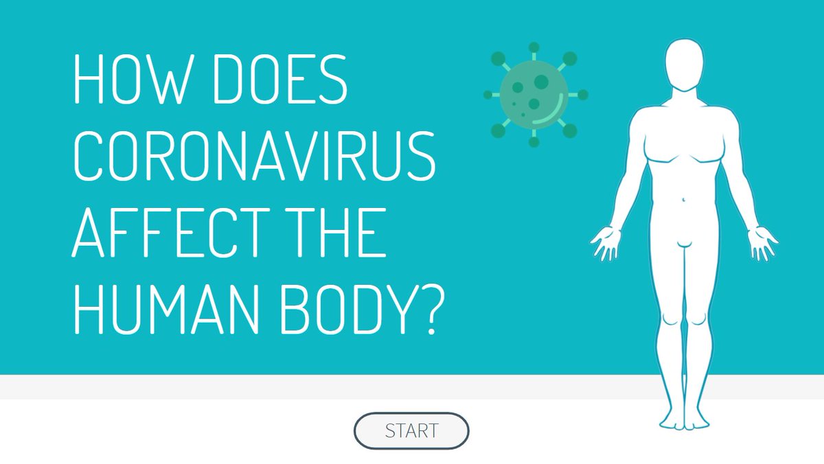Hi All! Just finished my latest eLearning course on how coronavirus affects the human body. If you have a few minutes to check it out, please let me know what you think!

bit.ly/3dcn8Fj