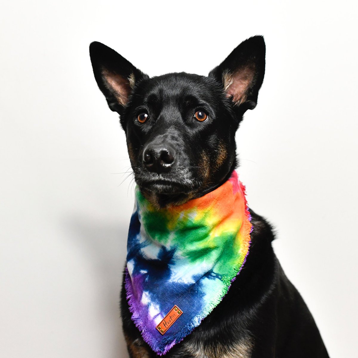 ❤️🧡💛💚💙💜