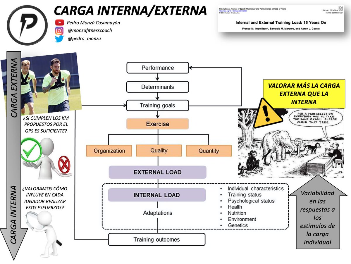 pedro_monzu's tweet photo. Carga externa/interna. Cuidado con priorizar la carga externa a la interna (Datos del GPS etc...). Valorar la respuesta individual a esos estímulos durante el entrenamiento (carga interna). #Entrenamiento #PreparacionFisica #GPS #CargaInterna #CargaExterna #Futbol #Soccer https://t.co/sOYNq6rcSF