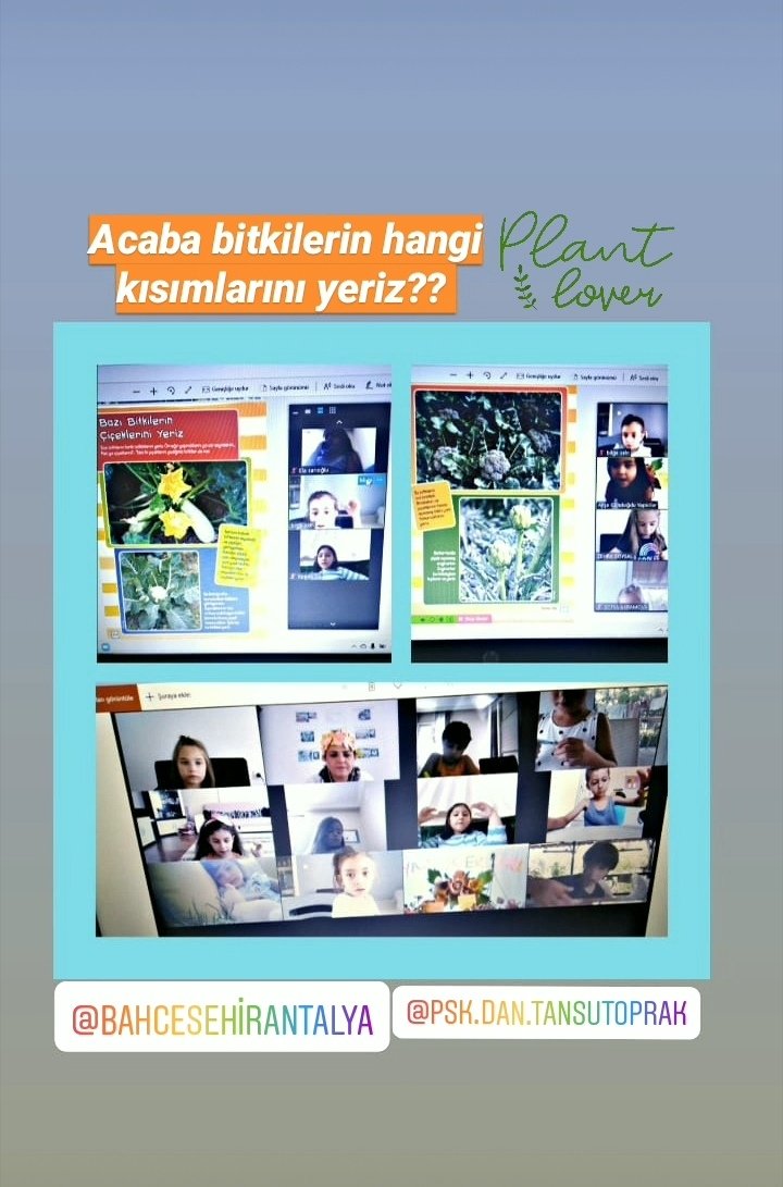 pınar gençkan (@nargenckan) on Twitter photo Yaz mevsiminin ilginç isimli çiçekleri nelerdir? Çiçeklerin büyümesi için neler gereklidir? Bitkilerin hangi kısımlarını yeriz? Çiçek özü ile beslenen hayvanlar nelerdir?....... Bugünkü dersimizde neler neler öğrendik👩👧👦@bahcesehirantalya @TansuToprakbk <a href="/sbalci07/">Sevilay Balcı</a> <a href="/tugbaozdinc/">Tuğba Özdinç Kater</a> Yaz mevsiminin ilginç isimli çiçekleri nelerdir? Çiçeklerin büyümesi için neler gereklidir? Bitkilerin hangi kısımlarını yeriz? Çiçek özü ile beslenen hayvanlar nelerdir?....... Bugünkü dersimizde neler neler öğrendik👩👧👦@bahcesehirantalya @TansuToprakbk <a href="/sbalci07/">Sevilay Balcı</a> <a href="/tugbaozdinc/">Tuğba Özdinç Kater</a>