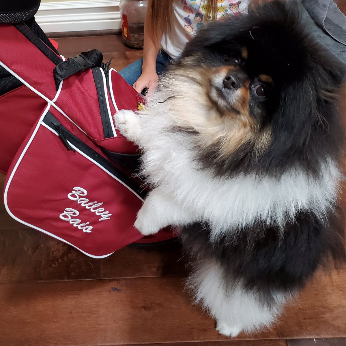 Scott Baio tweet media