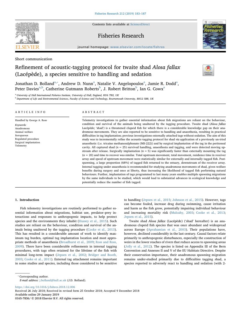 PhD opportunity investigating #shad #migration in the River Severn, thanks to <a href="/SevernUnlocked/">Unlocking the Severn</a>, with Prof. Rob Britton <a href="/bournemouthuniv/">Bournemouth Uni</a> and external supervision by yours truly. Deadline: 12 July 2020. #telemetry #fishpass #spawning   findaphd.com/phds/project/s…