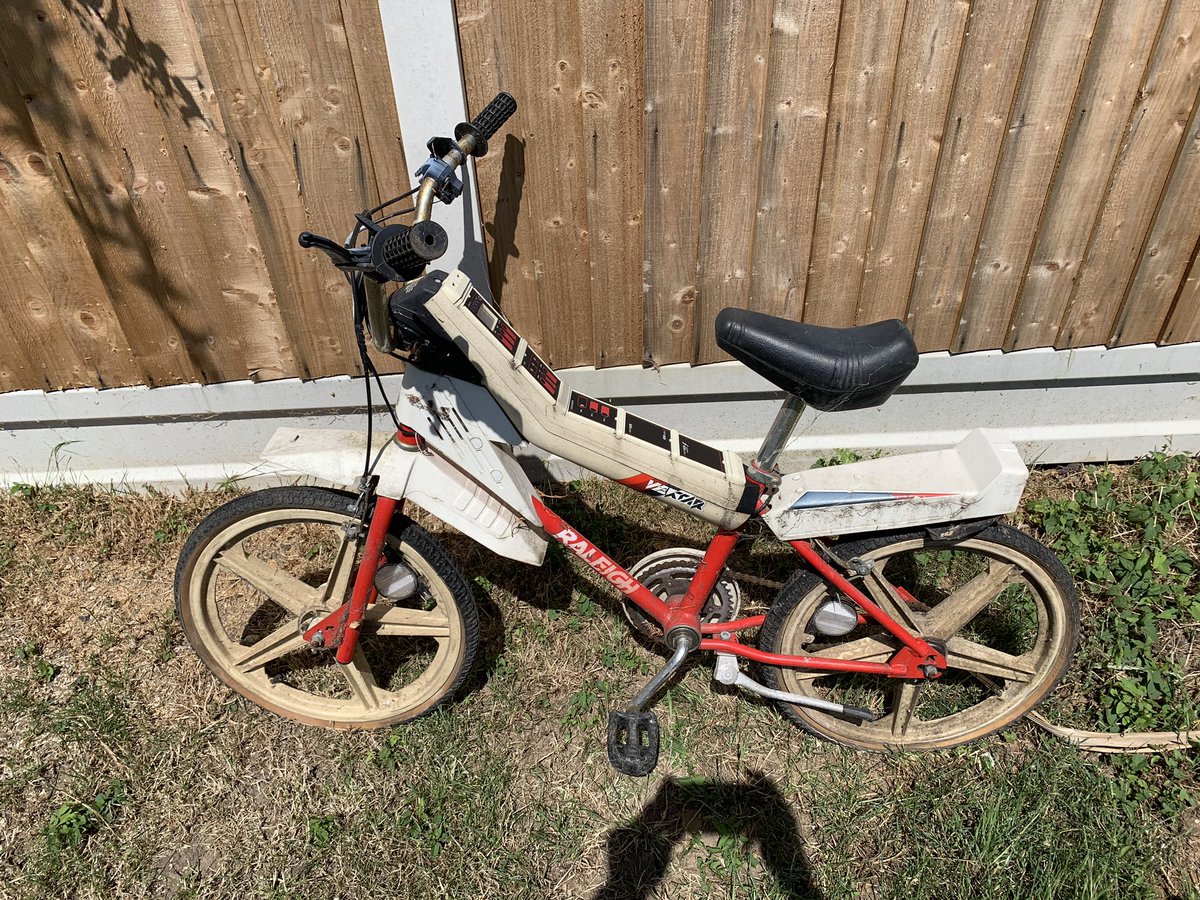 Raleigh Vektar 