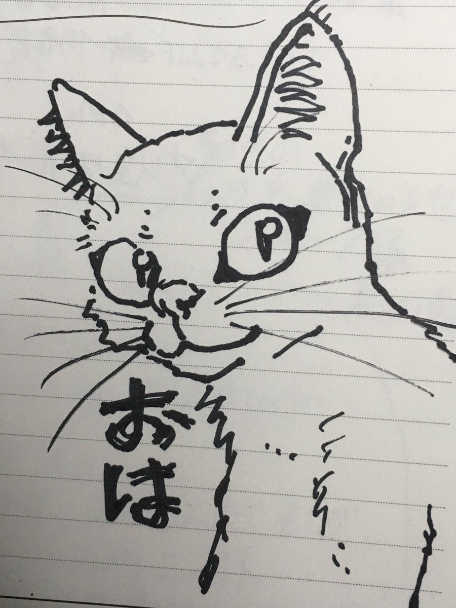 おはようございます! 
