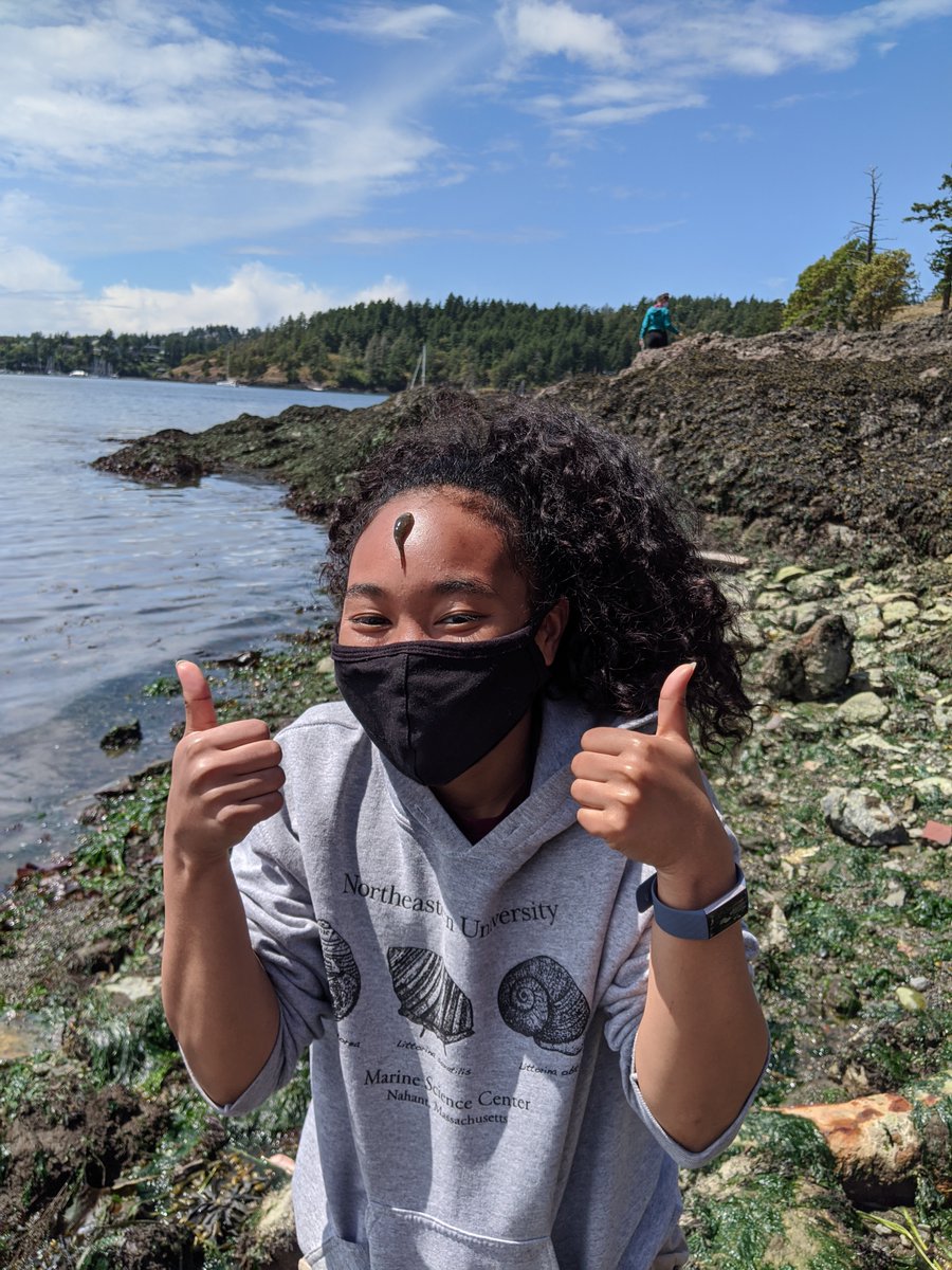 We're doing it! First official day of our mostly in-person (some remote) @NSF REU program at @MarineBiol_FHL! We've been quarantining at the field station for two weeks, and our amazing interns and mentors are ready to get started!  #NSFREU #BlackAFinSTEM