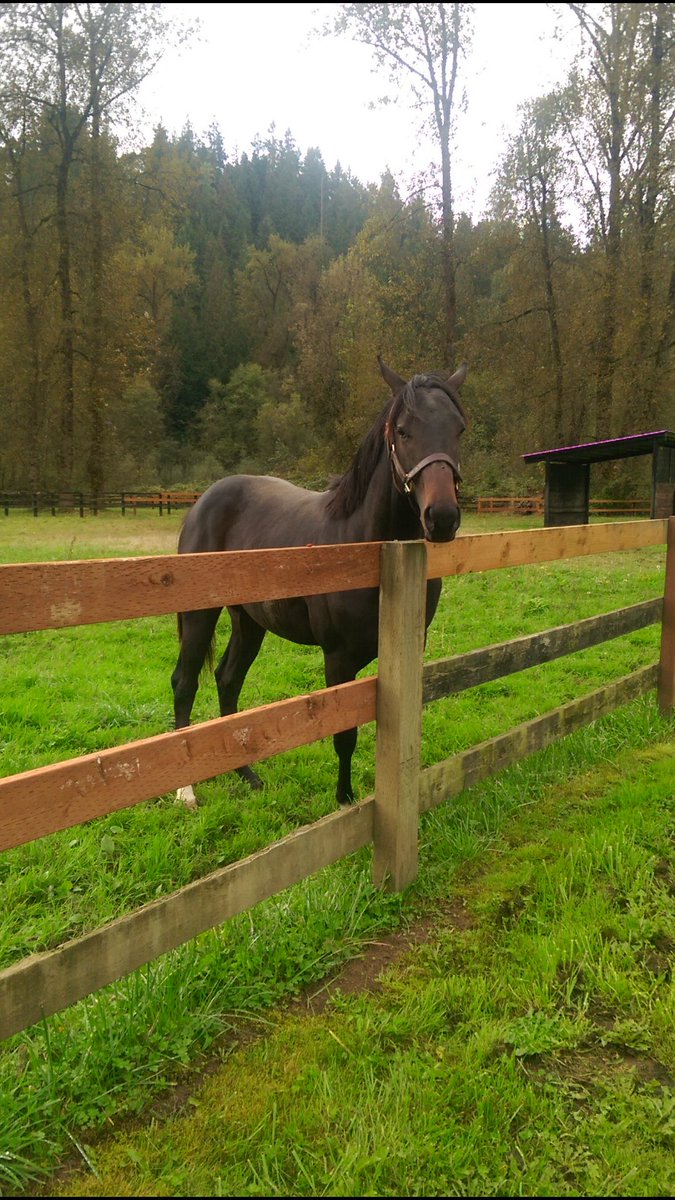 strykerphd's tweet image. T-Mobile service outage gave my WFH humans the best Monday afternoon after he received record breaking nonstop phone calls in this morning. #nocall #nowork