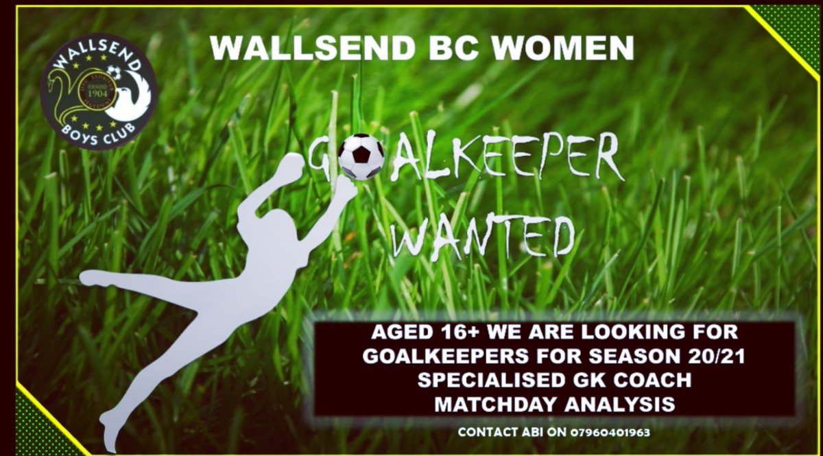 wallsendbcwomen's tweet photo. We are currently looking for a Goalkeeper to join our squad. Get in contact if you are looking for a new opportunity. We will have a GK coach with us all season to help you develop. https://t.co/bNo8Q4Iq1m