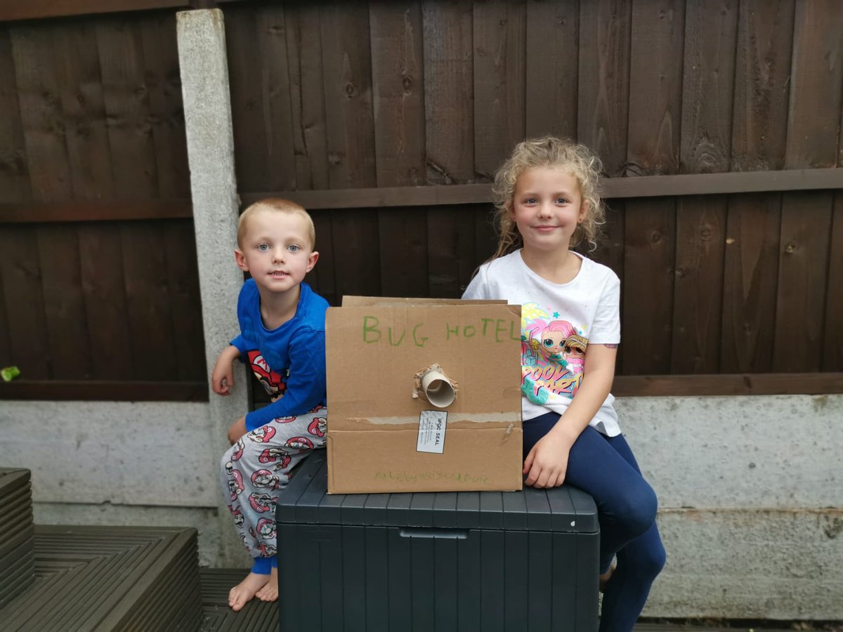 Rachel41684131's tweet photo. @malvernprimary 

Day 1, 
#WildWeek

#BugHotel

Holly and Daniel xx https://t.co/C7BNSfFoUI