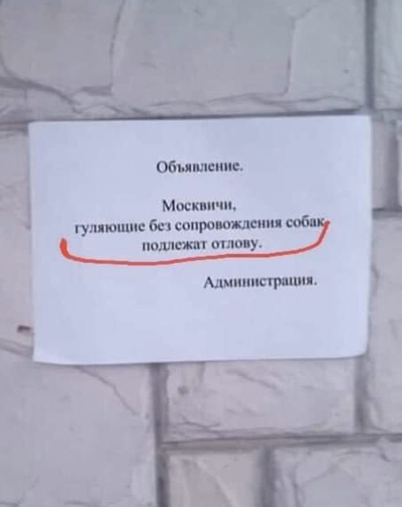 Приколы опечатки объявления