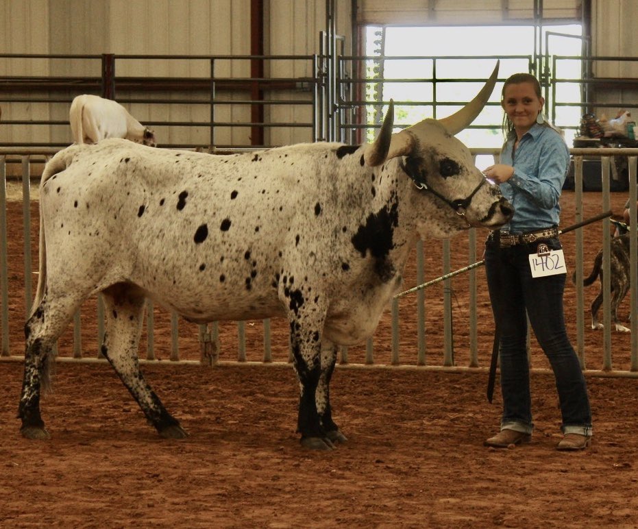 LonghornsBm's tweet photo. Two of the girls at show! https://t.co/ghAkH5TtSH