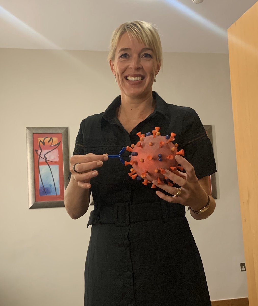 laoneill111's tweet photo. Dr Eva Palsson holding up a scale model (3 million x magnification) of SARS- CoV2 with an antibody in RTE tonight- Eva demo’d an ELISA live on tv. @EvaPMcD https://t.co/9HrdXAbF7k