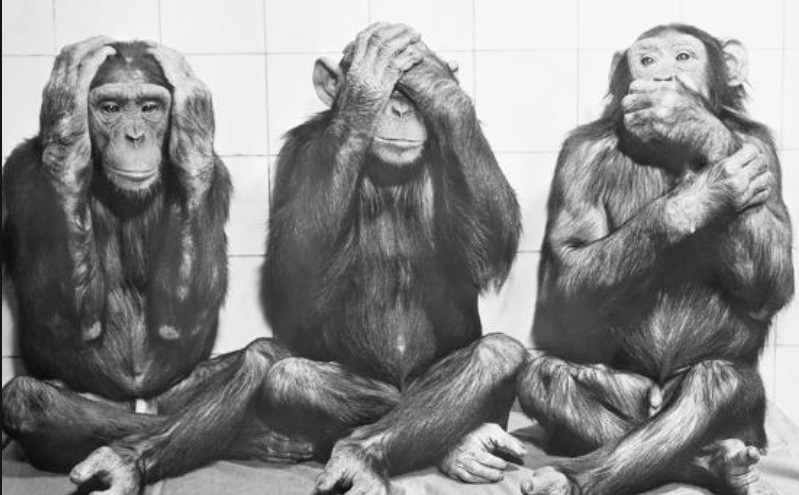 Yes, this reads like a @SNL routine. But it's real #Trump :
"If we stop testing right now, we'd have very few cases, if any," the president said during an event for seniors at <a href="/WhiteHouse/">The White House</a> .
This is literally the #COVID19 version of "Hear no evil, speak no evil, see no evil."