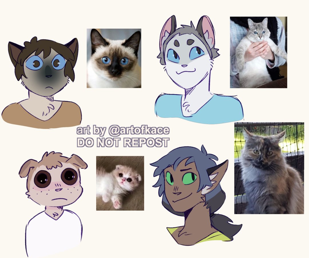 magicats!!! I did these as requests yesterday and I did Not record whose cat was whose so if you were lucky and I did yours ID your kitty pls ahah
Sorry I couldn't do them all!! but this was a rly fun exercise :D