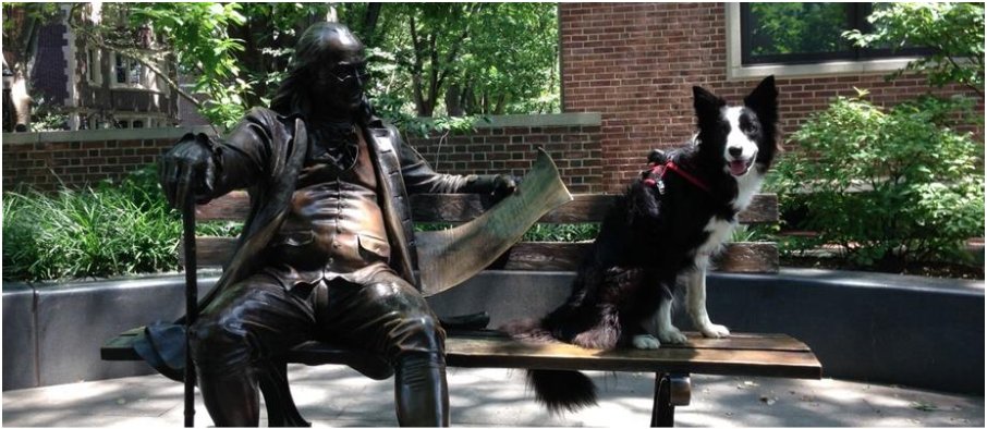 LindauerGlobal's tweet photo. @pennvet is seeking an Associate Dean for Advancement to conceptualize, plan &amp; execute a coordinated program of philanthropic fundraising, alumni &amp; constituent relations, &amp; marketing &amp; communications for the School. Learn more at https://t.co/87zXetNydy #leadership #philanthropy https://t.co/LcNOzUu5bS