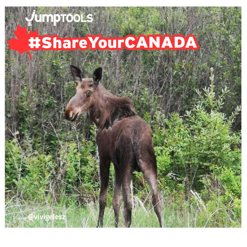 Introducing the Jumptools #ShareYourCanada contest: June 15-29. Are you a licensed Canadian real estate salesperson? Share your Canada for a chance to win a $200 gift certificate. Tweet a photo to <a href="/Jumptools/">Jumptools - CRM & Marketing Automation</a> with #ShareYourCanada Details here: jumptools.com/public/share-y…