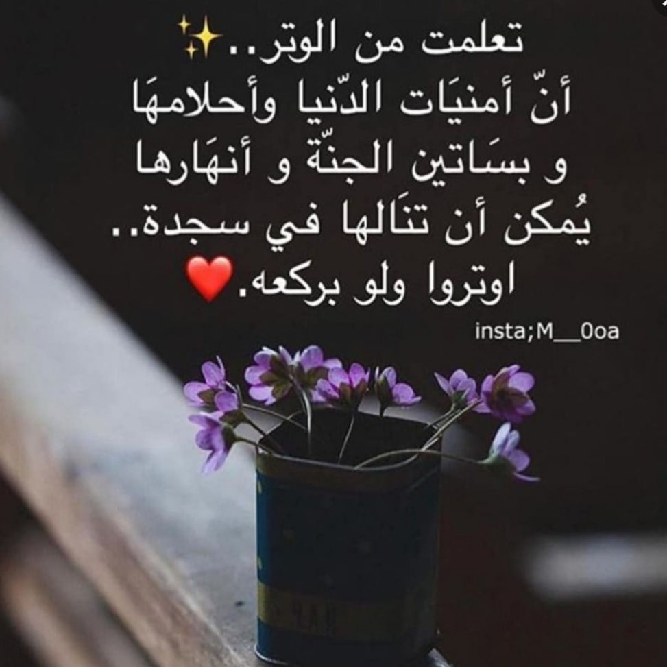 #الوتر_جنة_القلوب 🌺