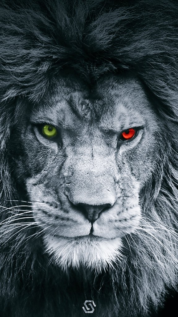 FatherSonAdvice's tweet photo. Son, life is tough as hell. Not an easy mission. Those who sell you the image of fun &amp; joy are to be questioned. Sure life is joyful but only when the process is embraced. The process of discipline vs. joy and fun for the sake of it. Son, learn to enjoy the process. #fatheradvice https://t.co/IJalD8xP6m
