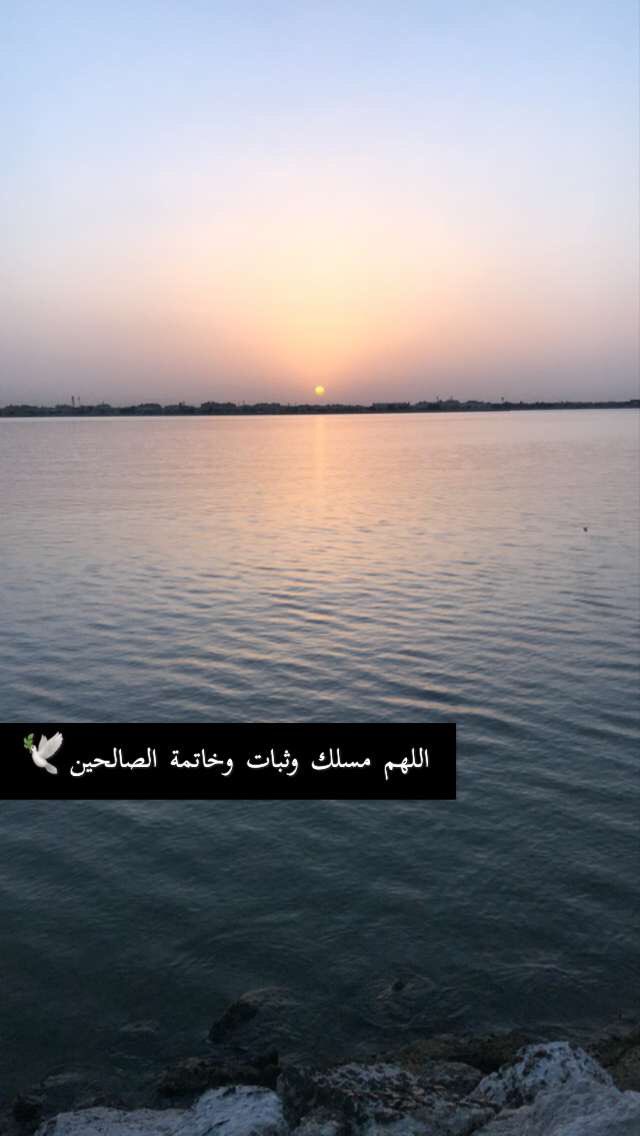 اللهم مسلك وثبات وخاتمة الصالحين🕊
#تصويري