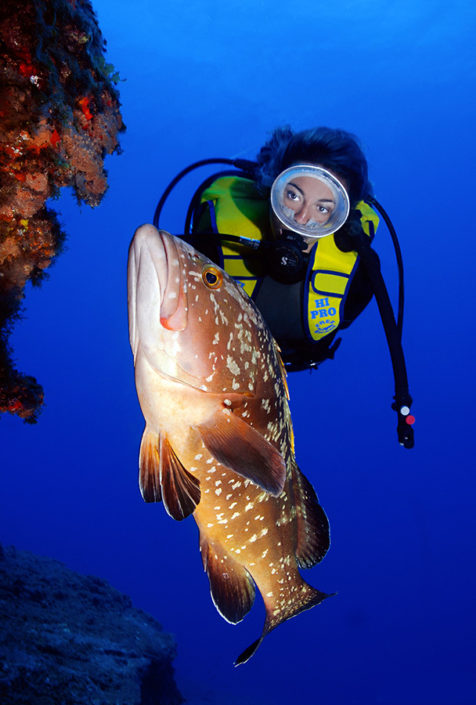 ODCanarias's tweet photo. #BuenasNoches, el día toca a su fin, y nos vamos a descansar. Que tengan lindos sueños, nos vemos en el Gran Azul. Hasta mañana. 

#PuntadelHidalgo #LaLaguna #Tenerife #IslasCanarias #buceo #mediomarino #vidamarina #oceano #atlantico. 

Foto: Enrique Faber https://t.co/oeloi0xCaa