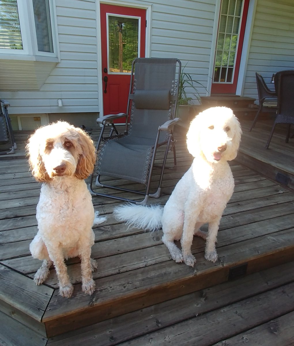 DoodleNessa's tweet photo. You peeps are awesome.
We are 2 away from our target! Looks like we are having a pool party!
Thank you all, dad's off to pick up our pool!
#TwitterIsAwesome https://t.co/1RGlmQLQ21