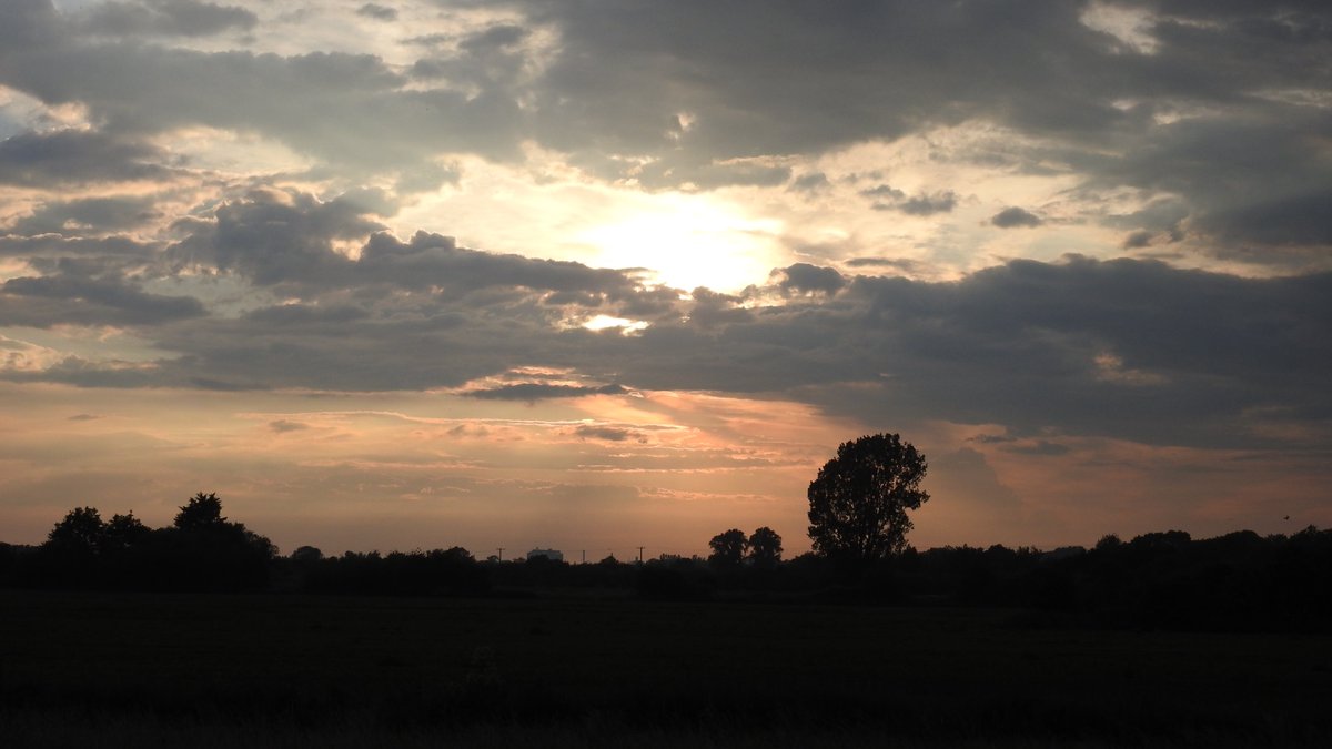 numenini's tweet photo. Under the big skies and relative simplicity of fenland landscapes there is space just to be.
#Methwold #Norfolk #Fenland #Fens #TheFens #30DaysWild #landscape #eastanglia #fenlandsky #fenlandskies #rainbow 2/3 https://t.co/qdpflfKusJ