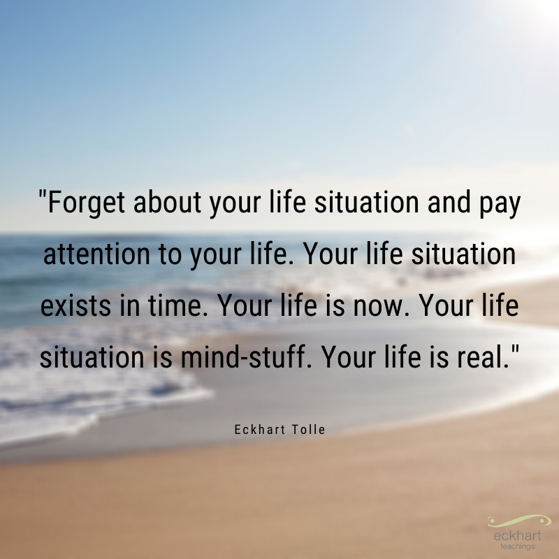 EckhartTolle's tweet photo. "Forget about your life situation and pay attention to your life. Your life situation exists in time. Your life is now. Your life situation is mind-stuff. Your life is real." - Eckhart Tolle https://t.co/5z9ZFjBxKJ