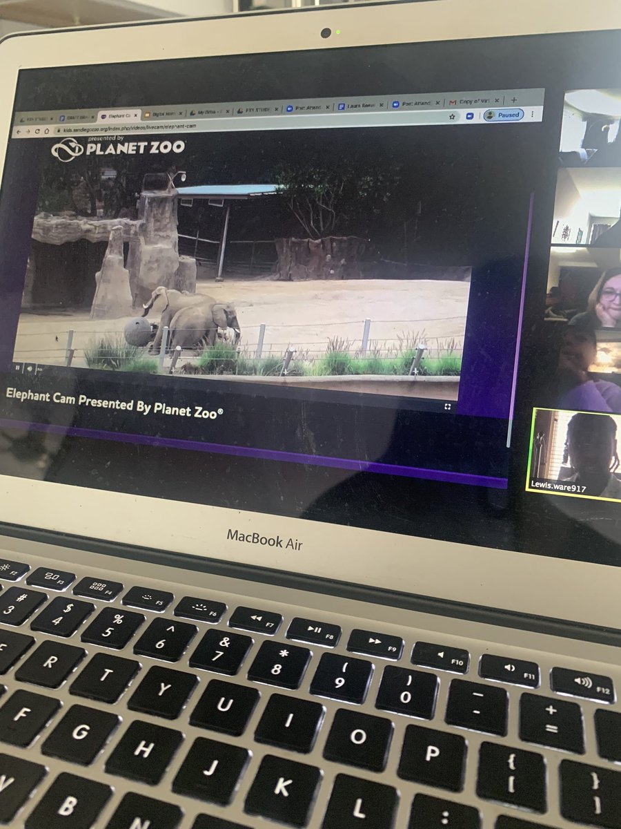 We pulled off our first day of ESY virtual edition. I was able to jump off emails and into a classroom just on time to head to the San Diego Zoo! What a fun first day!