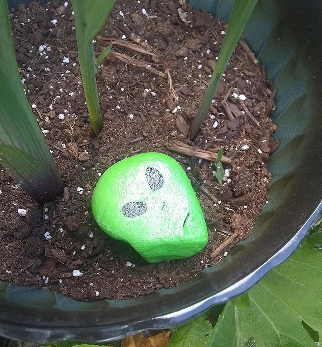 315Rocks tweet picture