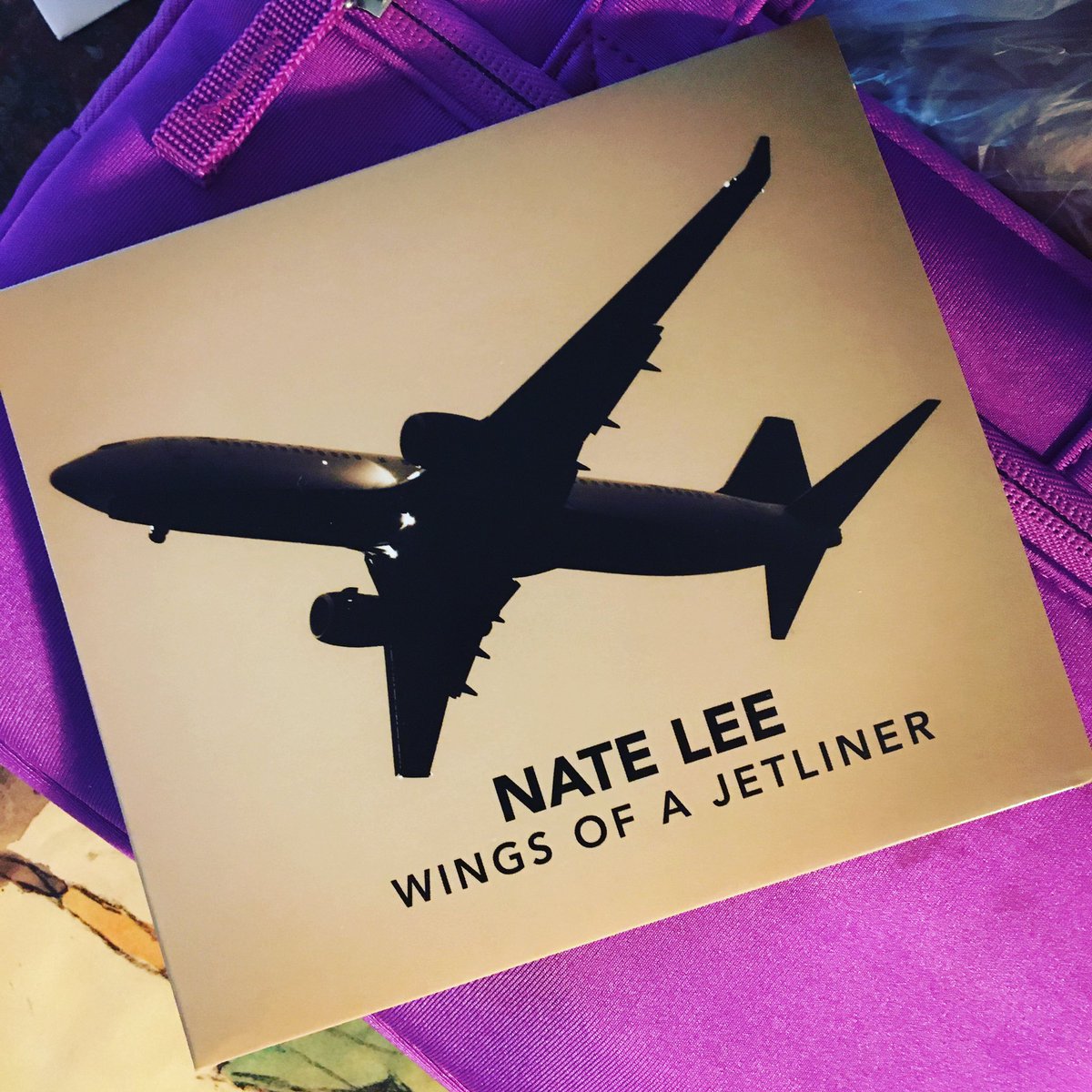 New music from <a href="/NateLeeLLC/">Nate Lee</a> was in my mailbox today! Have you heard Wings Of A Jetliner yet?