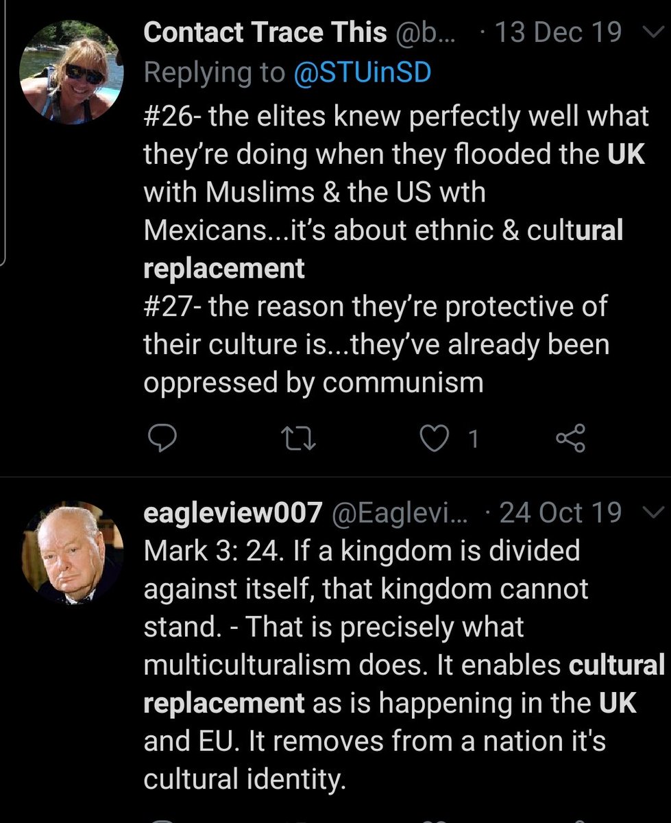 As I said this kind of thing has been going on for a while in the UK.Tommy Robinson and Russia =goodThe focus on statues in the media plays right into these peoples hands.Advocacy for symbols of benevolent British Empire while describing EU as an oppressive empire?25/