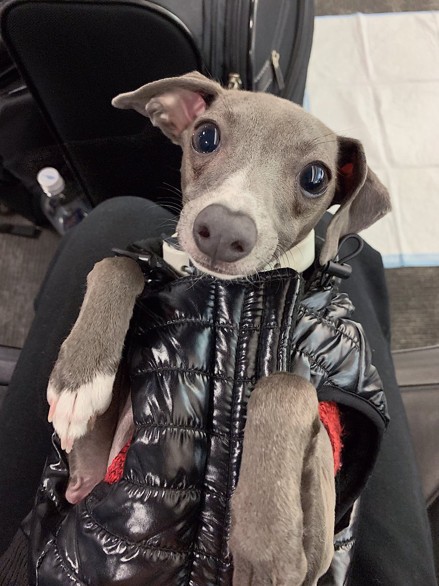 My baby is 2 today 🤍🖤