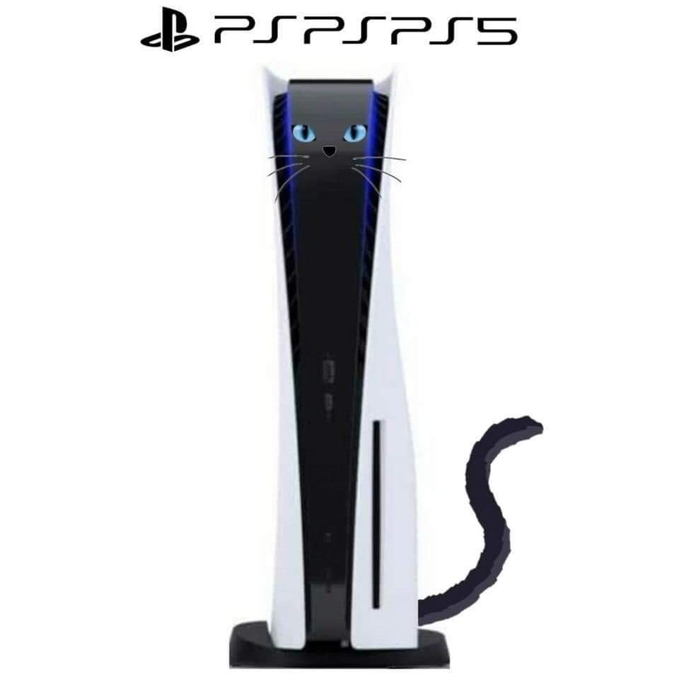 XstntlDread's tweet photo. Here kitty kitty.... https://t.co/ZpWgzILKX1