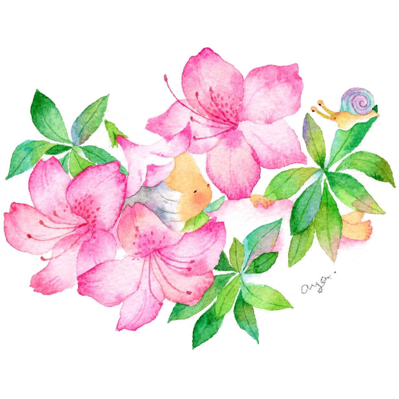 こばやしあや 6月の花 皐月 さつき A Dwarf Azalea 花言葉は 節制 さつきはつつじよりも花が小さいそうです 絵 水彩画 水彩 透明水彩 イラスト Drawing Illustration Watercolor Art スケッチ こばやしあや 花言葉 誕生