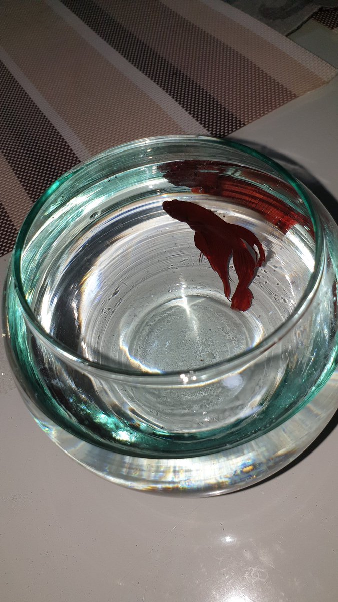 Mark Co 🇵🇭🇸🇦 (@iammarkpogi) on Twitter photo 