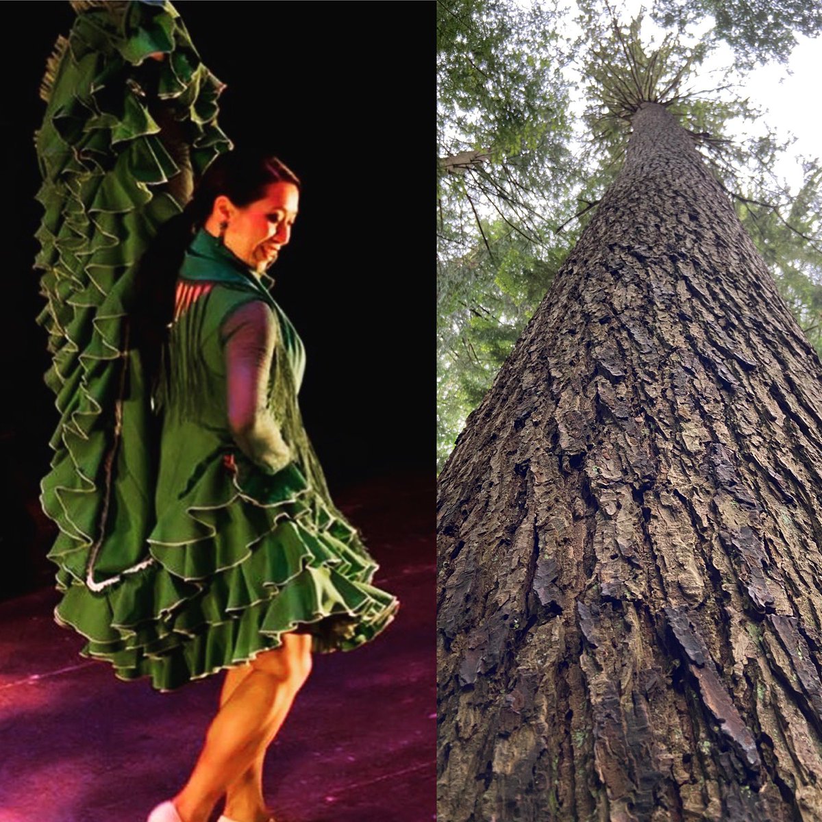 KasandraLaChina's tweet photo. Green power. Dancing the #greenchakra this week #anahata https://t.co/MRuGKnTQAi
