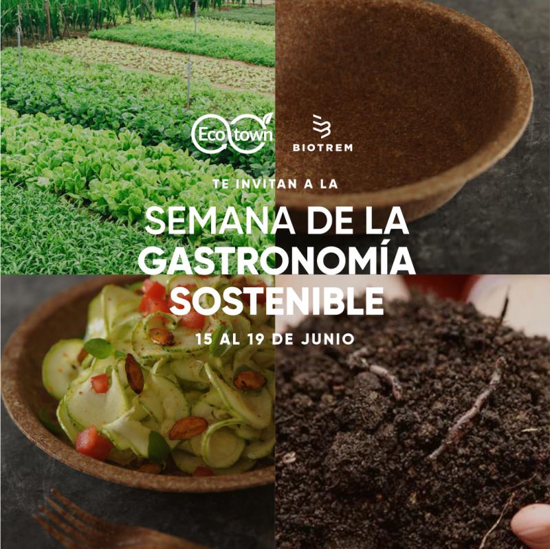 Ecotown - Sostenible es Posible tweet media