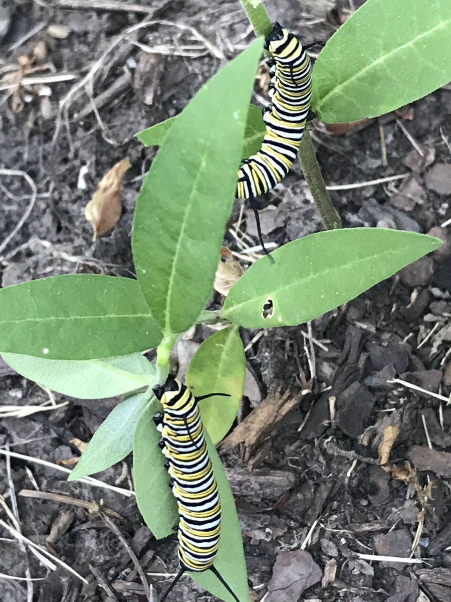 Frank McKenna tweet media