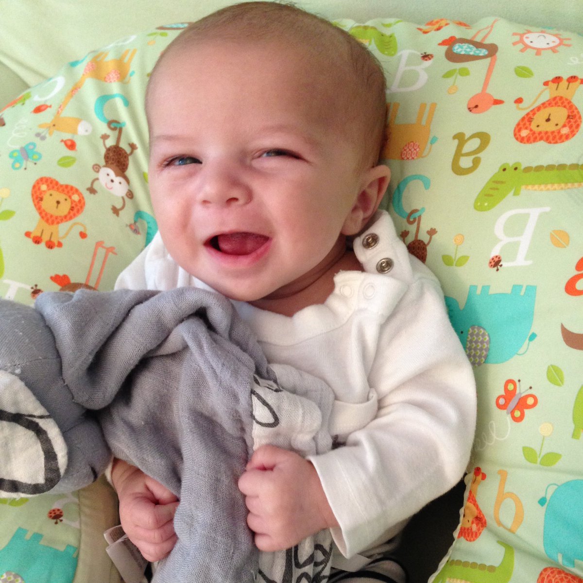 Meredith Magun tweet media