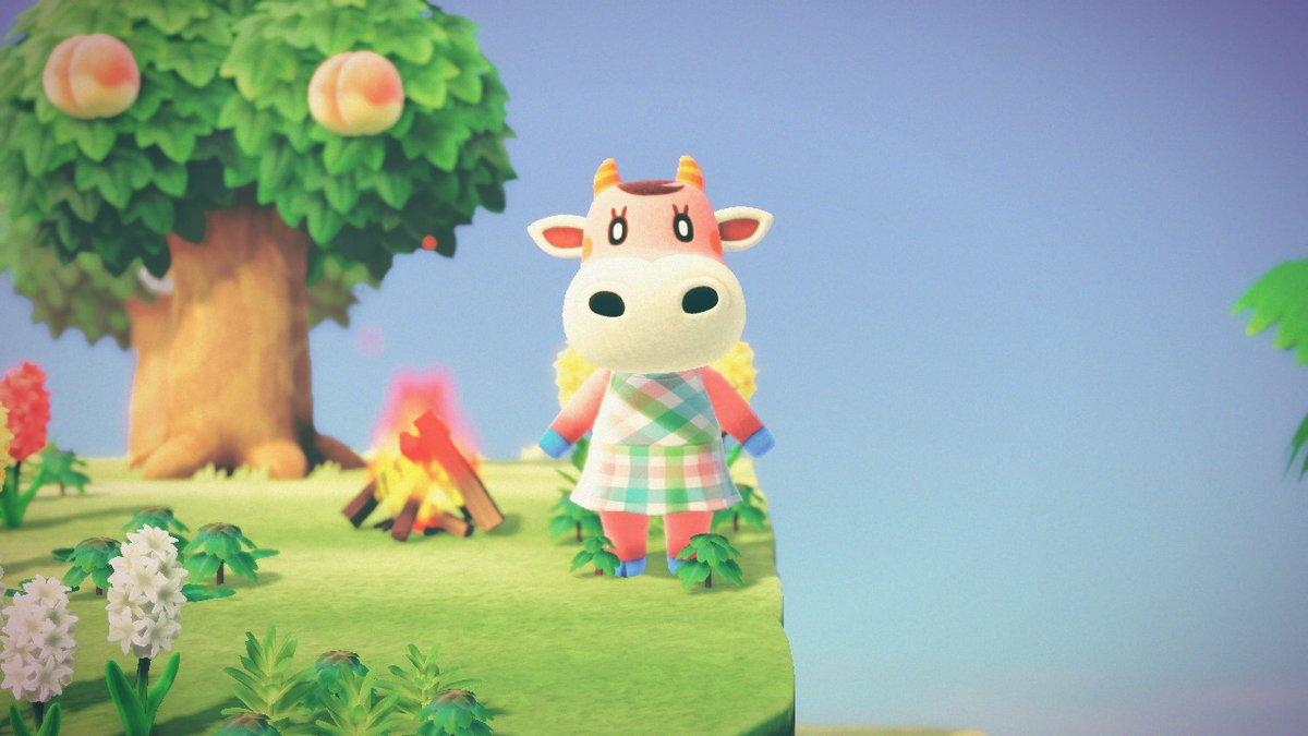 AleXboxRep's tweet image. Back when I found Norma!