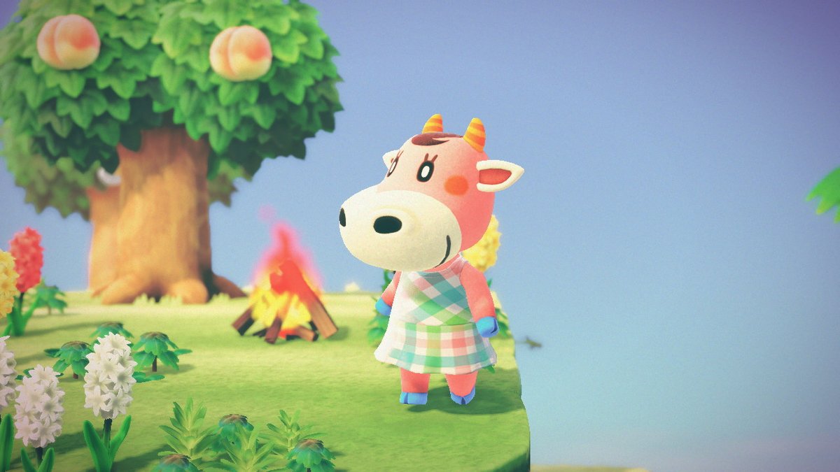 AleXboxRep's tweet image. Back when I found Norma!