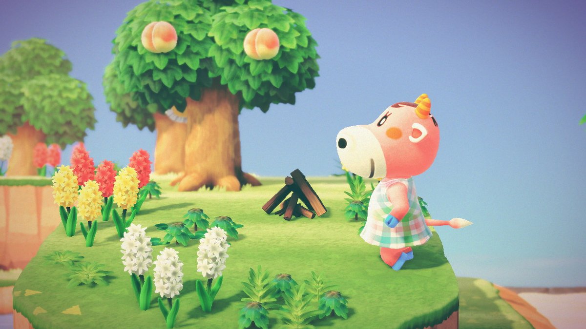 AleXboxRep's tweet image. Back when I found Norma!