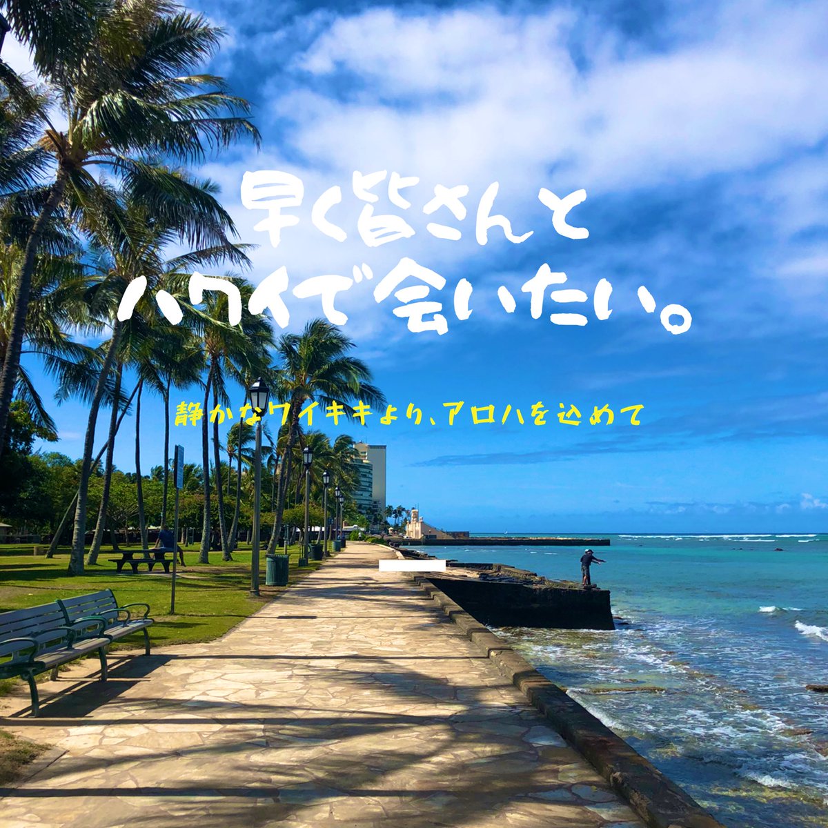 Hawaii_UV's tweet photo. 1日も早く、日本の皆さんをハワイでお迎えできる日が来ますように🙏

#ハワイ #ハワイオススメスポット #ワイキキビーチ #頑張ろう日本 #頑張ろうハワイ #ハワイ観光 #ハワイ好きな人と繋がりたい #海外旅行 #オアフ島観光 #日本人ガイド #ノースショア #���連れハワイ  #ハワイuvツアーズ https://t.co/ejmZaWPnIW