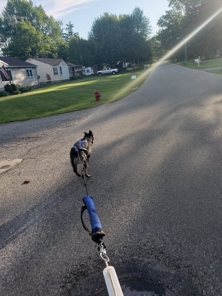 But then we passed  @TeamMismatch and Zombie, and boy did he fly.