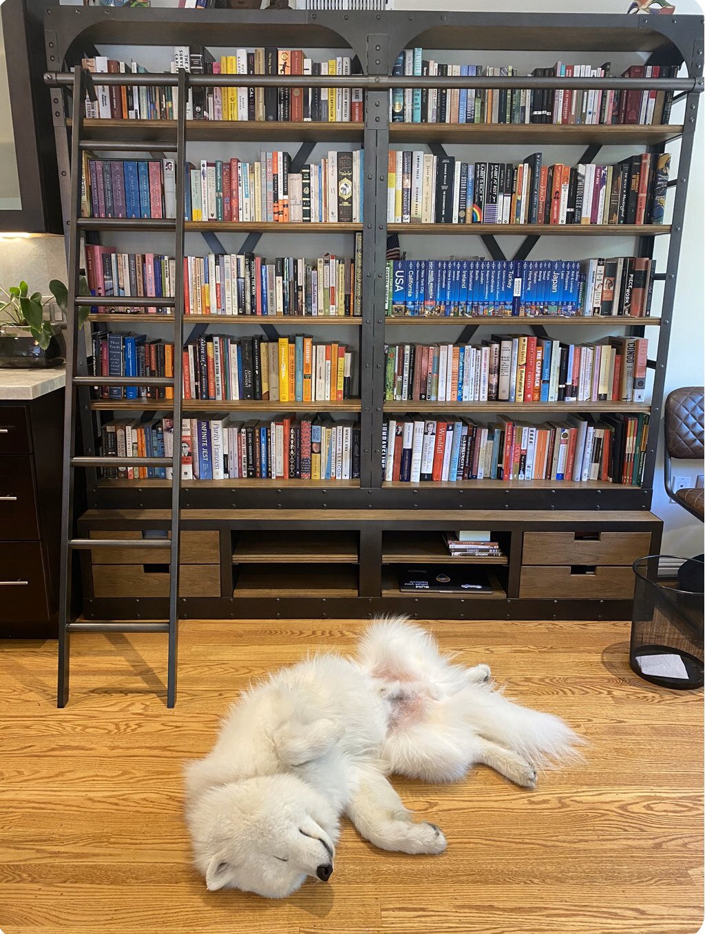 Restoration hardware bookcase on sale with ladder