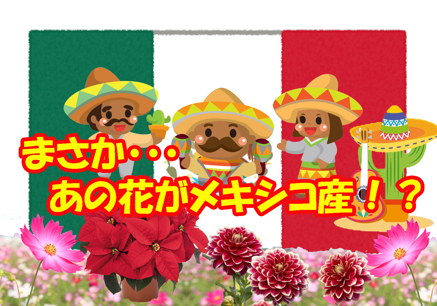 株式会社グリーンサービス Al Twitter 株式会社グリーンサービス メキシコ 花 花屋 今回は え ほんと メキシコっぽくない という有名処のお花をご紹介です ダリア アステカ時代から栽培され国花です コスモス 標高1600ｍ以上の所で咲いています