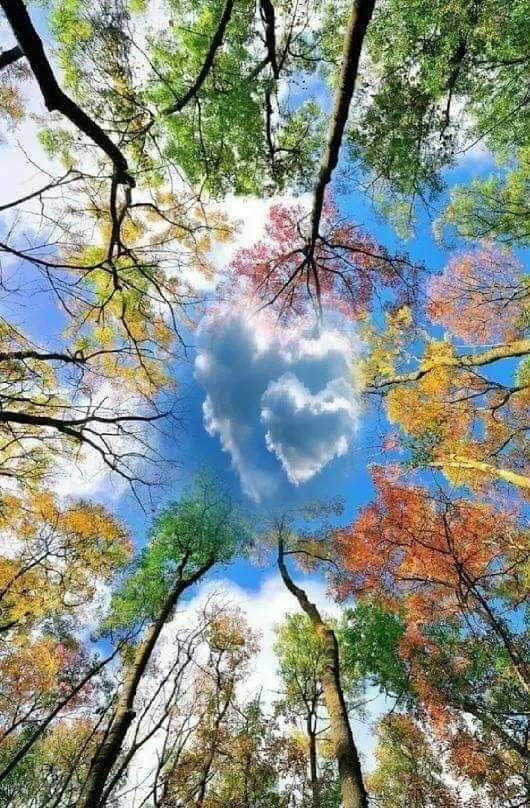 Avargas2403's tweet photo. 💙 Good morning to the other side of the world🌼
In the sweetness of friendship 💕 Let there be laughter and sharing of pleasures, For in the dew of little things🌼Does the heart find its morning and is refreshed 💙 Khalil Gibran🌼
#HappyDay to all the hearts that accompany me 💞 https://t.co/GNxMMS2stR