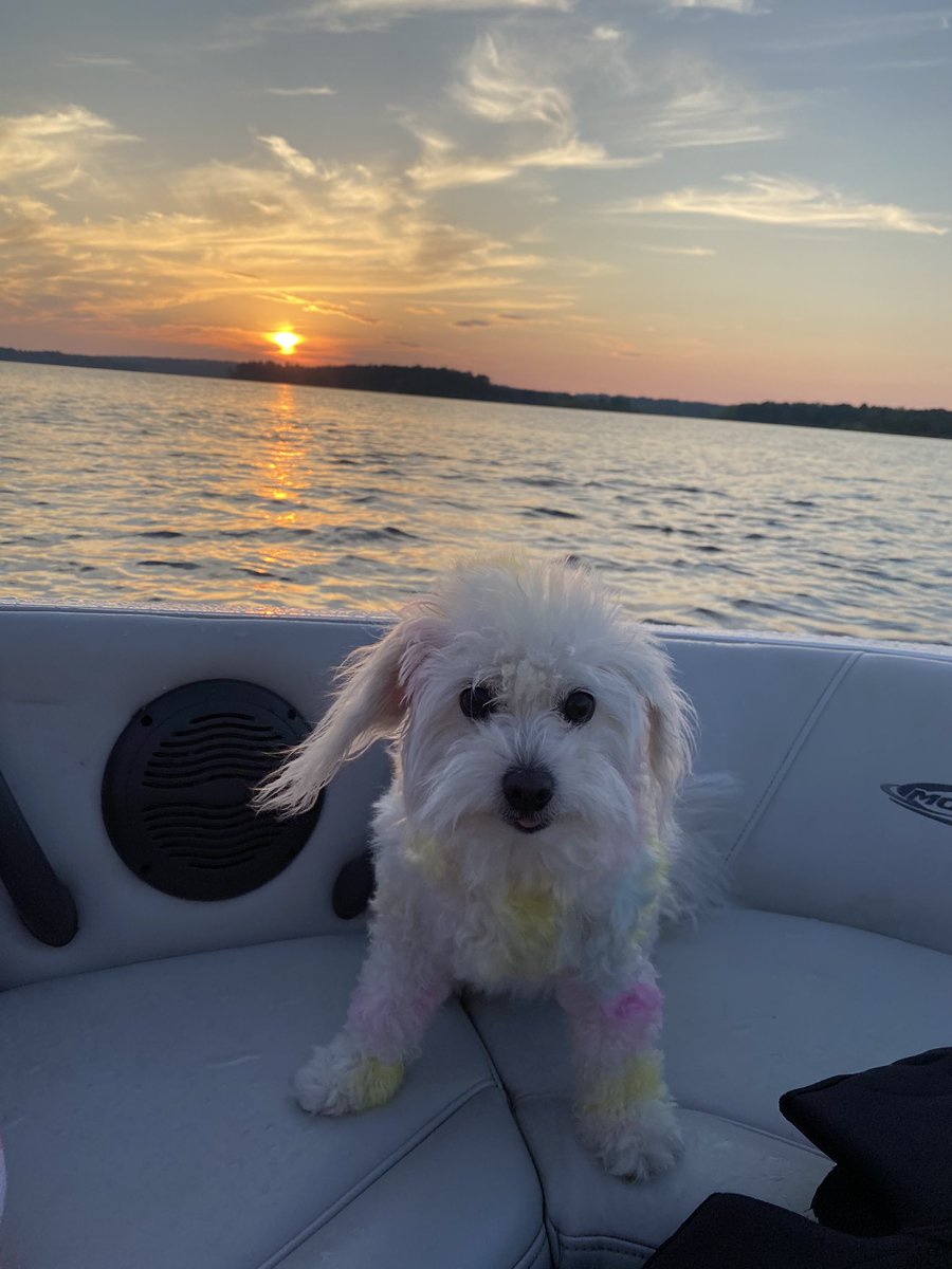 looked cute might delete later