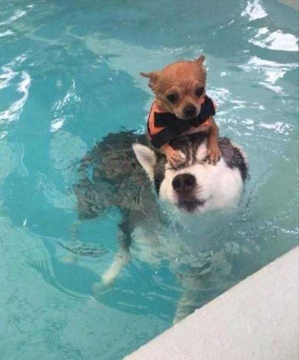 AgathaChocolats's tweet image. In six words or fewer, write a story about this photo.
#sixwordstory #writingcommunity