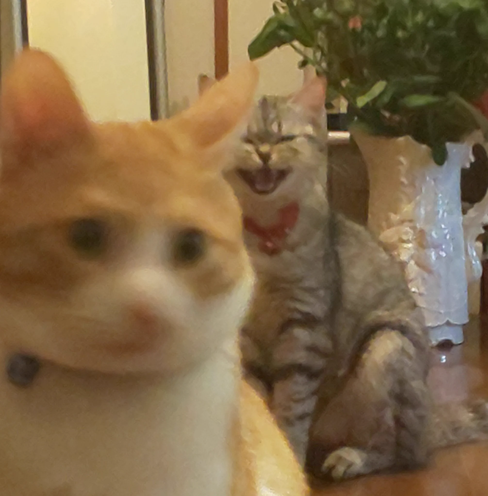 @akitainuho 怖い顔の獣… 